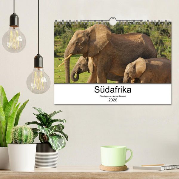Produktbild: S&uuml;dafrika - Eine beeindruckende Tierwelt (Wandkalender 2026 DIN A4 quer), CALVENDO Monatskalender