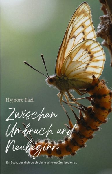 Zwischen Umbruch und Neubeginn, Taschenbuch von Hyjnore Ilazi, Tredition, 9783384749079