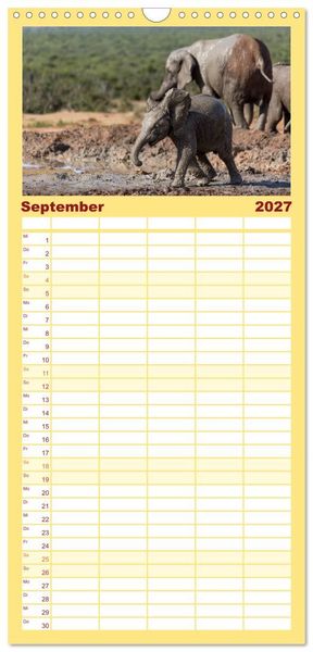 Produktbild: Familienplaner 2027 - Afrikas Tierwelt: Elefantenbabys mit 5 Spalten (Wandkalender, 21 x 45 cm) CALVENDO