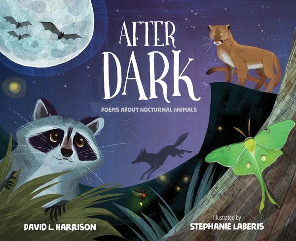 Produktbild: After Dark