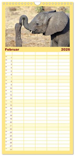 Produktbild: Familienplaner 2026 - Elefanten in Afrika mit 5 Spalten (Wandkalender, 21 x 45 cm) CALVENDO