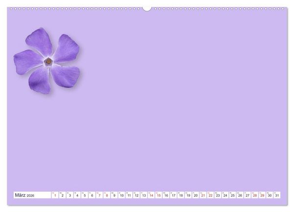 Produktbild: DIY POESIE - BASTELKALENDER (hochwertiger Premium Wandkalender 2026 DIN A2 quer), Kunstdruck in Hochglanz