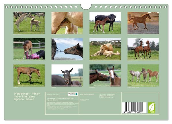 Produktbild: Pferdekinder - Fohlen haben ihren ganz eigenen Charme (Wandkalender 2026 DIN A4 quer), CALVENDO Monatskalender
