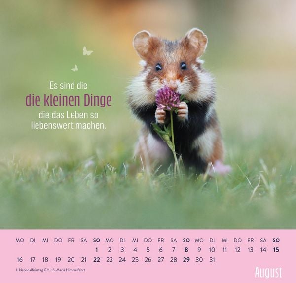 Produktbild: Wandkalender 2027: Kleine Gl&uuml;cksbringer f&uuml;r dein Jahr