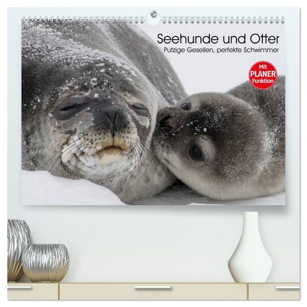 Produktbild: Seehunde und Otter. Putzige Gesellen, perfekte Schwimmer (hochwertiger Premium Wandkalender 2026 DIN A2 quer), Kunstdruck in Hochglanz