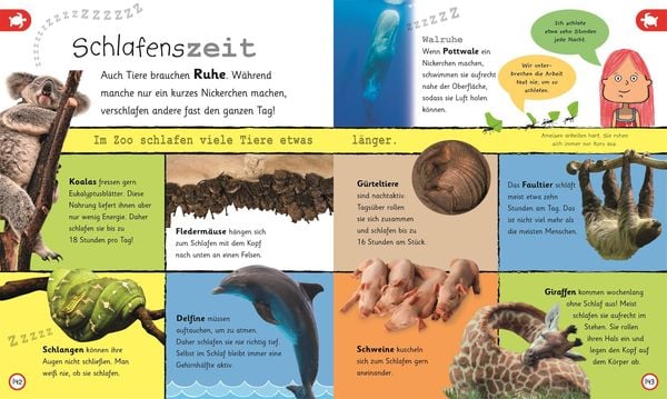 Wissen für Vorschulkids. Was weißt du über Tiere?