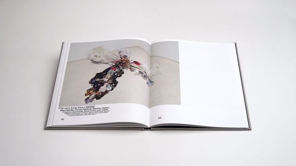 Produktbild: Sibylle Springer: Ferne Spiegel / Distant Mirrors