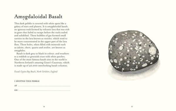 Produktbild: The Pebble Spotter's Guide - National Trust Edition