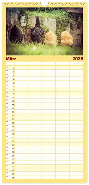 Produktbild: Familienplaner 2026 - H&uuml;hner in meinem Garten mit 5 Spalten (Wandkalender, 21 x 45 cm) CALVENDO