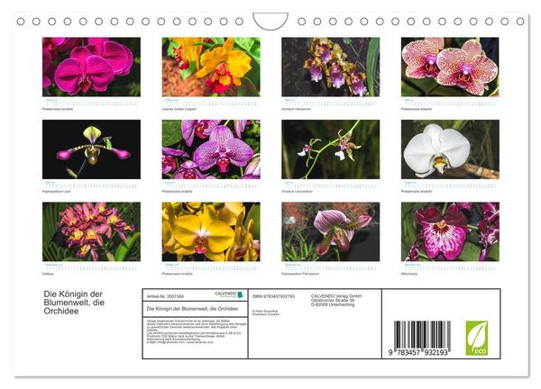 Produktbild: Die K&ouml;nigin der Blumenwelt, die Orchidee (Wandkalender 2026 DIN A4 quer), CALVENDO Monatskalender
