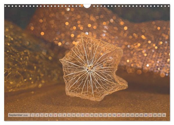 Produktbild: Kunstvolle Physalis-Kleine Frucht von gro&szlig;er Faszination (Wandkalender 2026 DIN A3 quer), CALVENDO Monatskalender