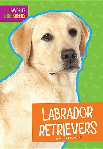 Produktbild: Labrador Retrievers