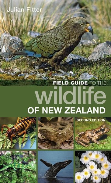 Produktbild: Field Guide to the Wildlife of New Zealand