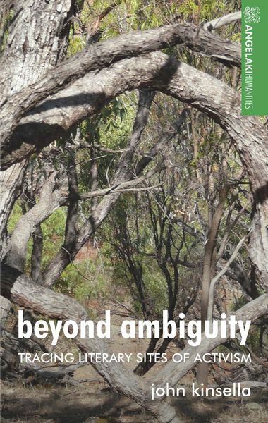 Produktbild: Beyond ambiguity
