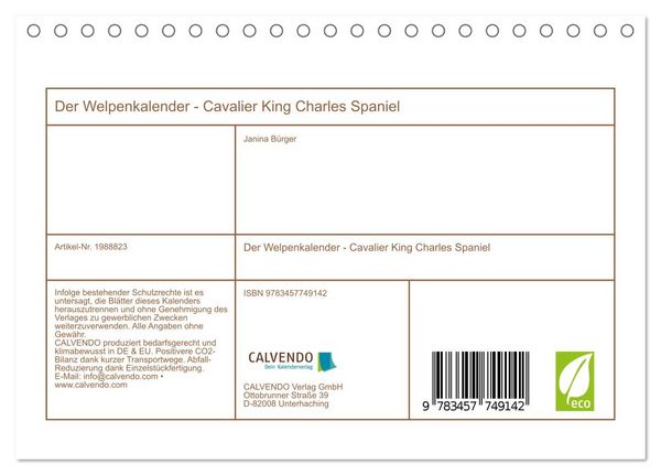 Produktbild: Der Welpenkalender - Cavalier King Charles Spaniel (Tischkalender 2026 DIN A5 quer), CALVENDO Monatskalender