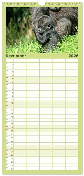 Produktbild: Familienplaner 2026 - Gorillas - Die sanften Wilden mit 5 Spalten (Wandkalender, 21 x 45 cm) CALVENDO