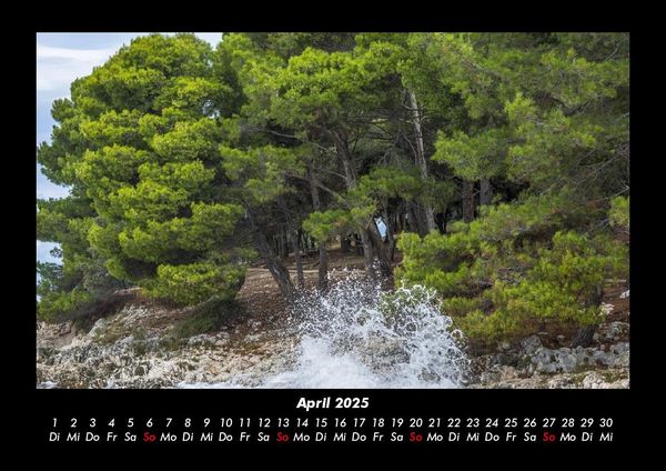 Produktbild: B&auml;ume 2025 Fotokalender DIN A3