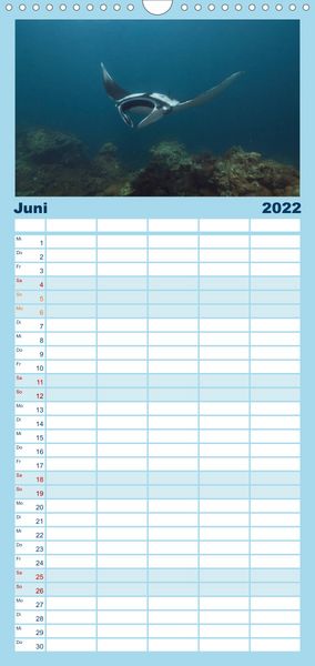 Produktbild: Tauchen, Fische und Meer - Familienplaner hoch (Wandkalender 2022 , 21 cm x 45 cm, hoch)