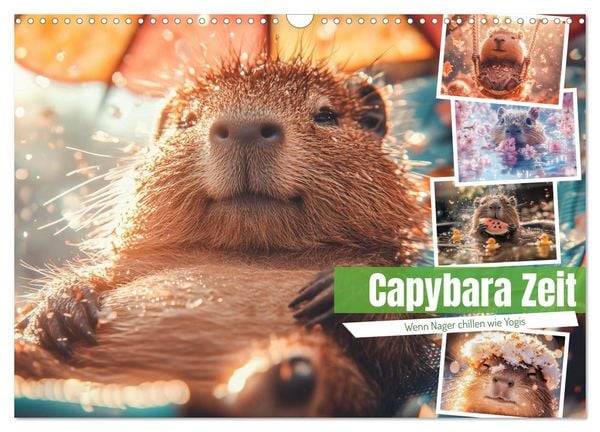 Produktbild: Capybara Zeit (Wandkalender 2026 DIN A3 quer), CALVENDO Monatskalender