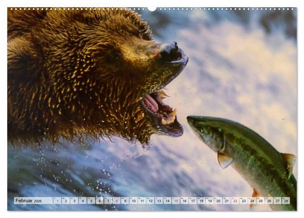 Produktbild: Alaska und Kanada (hochwertiger Premium Wandkalender 2026 DIN A2 quer), Kunstdruck in Hochglanz