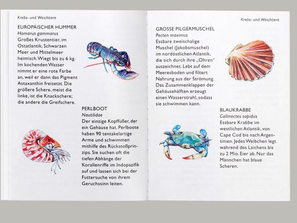 Produktbild: Meeres-Spielkarten