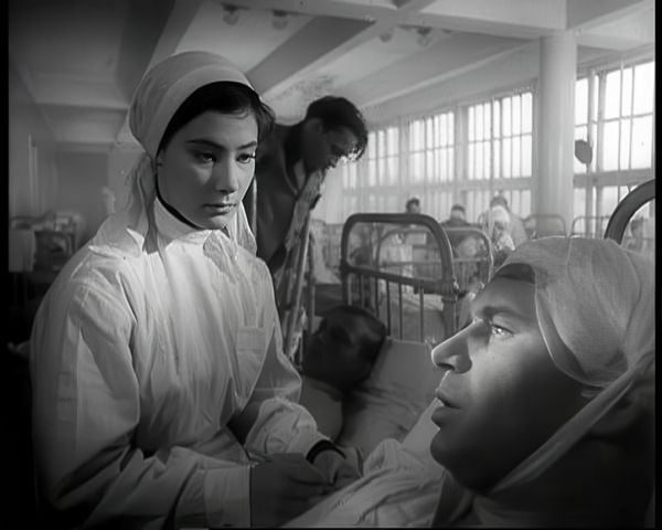 Produktbild: Wenn die Kraniche ziehen - Special Restored Edition (DEFA Filmjuwelen)