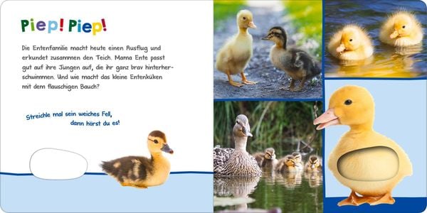 Hör mal rein, wer kann das sein? – Tierkinder im Frühling