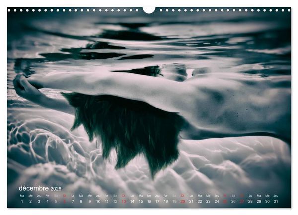 Produktbild: AQUAPASSION (Calendrier mural 2026 DIN A3 vertical), CALVENDO calendrier mensuel