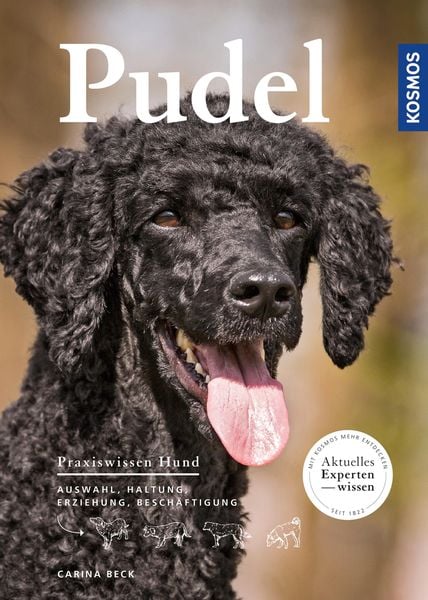 Produktbild: Pudel
