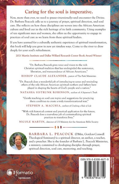Produktbild: Soul Care in African American Practice