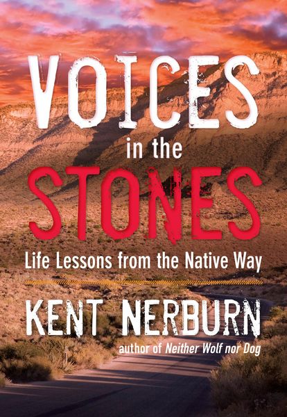 Produktbild: Voices in the Stones
