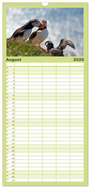 Produktbild: Familienplaner 2026 - Papageitaucher - Clowns der nordischen Vogelwelt mit 5 Spalten (Wandkalender, 21 x 45 cm) CALVENDO