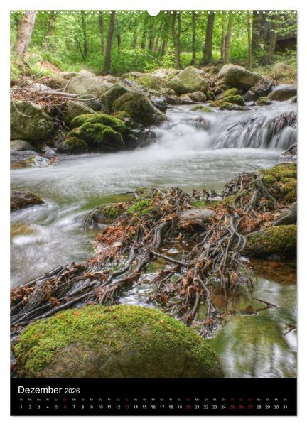 Produktbild: Typisch Harz (hochwertiger Premium Wandkalender 2026 DIN A2 hoch), Kunstdruck in Hochglanz