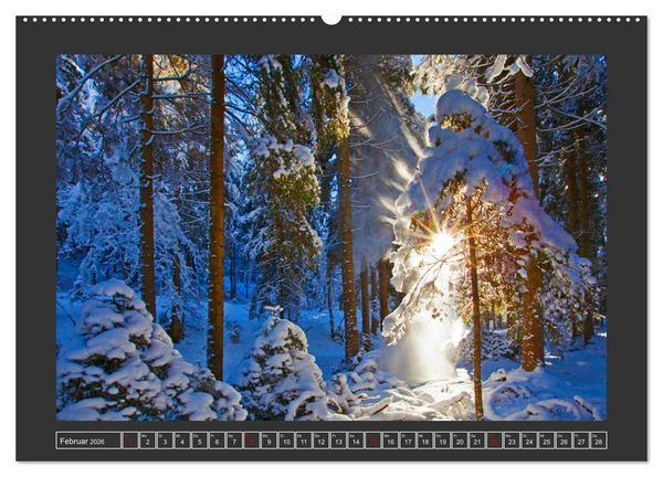 Produktbild: Gr&uuml;&szlig;e aus Wald (Wandkalender 2026 DIN A2 quer), CALVENDO Monatskalender
