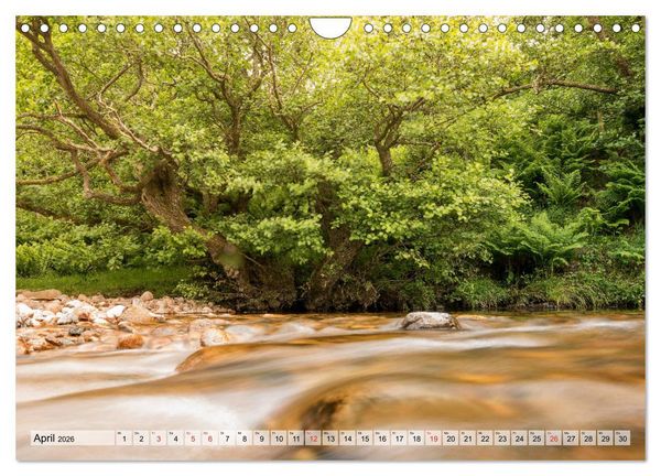 Produktbild: NORTHUMBERLAND 2026 (Wandkalender 2026 DIN A4 quer), CALVENDO Monatskalender