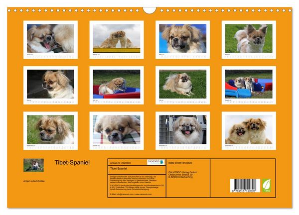 Produktbild: Tibet-Spaniel (Wandkalender 2026 DIN A3 quer), CALVENDO Monatskalender