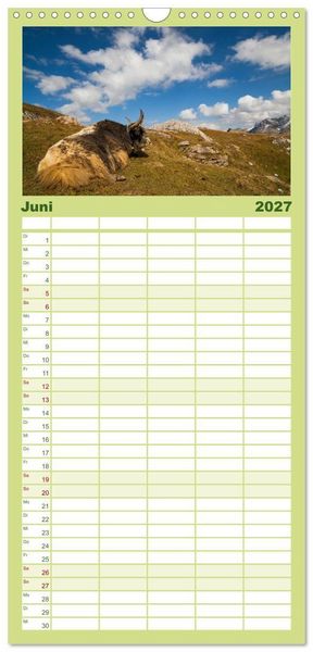 Produktbild: Familienplaner 2027 - Tierkalender 2027 mit 5 Spalten (Wandkalender, 21 x 45 cm) CALVENDO