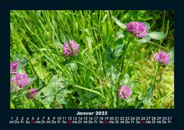 Produktbild: Blumentr&auml;ume 2025 Fotokalender DIN A5
