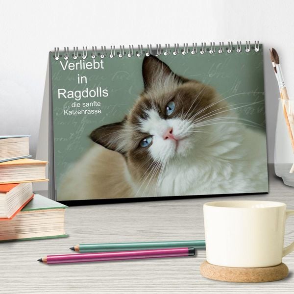 Produktbild: Verliebt in Ragdolls ... die sanfte Katzenrasse (Tischkalender 2026 DIN A5 quer), CALVENDO Monatskalender