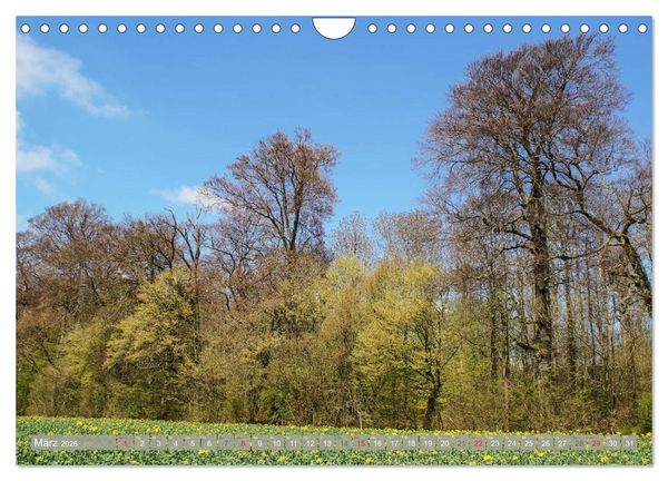 Produktbild: M&uuml;nsterland - Vielf&auml;ltige Sch&ouml;nheit (Wandkalender 2026 DIN A4 quer), CALVENDO Monatskalender