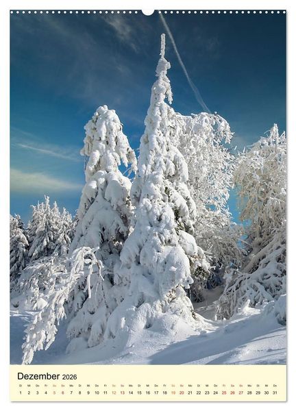 Produktbild: Abenteuer Nationalpark in Deutschland (Wandkalender 2026 DIN A2 hoch), CALVENDO Monatskalender