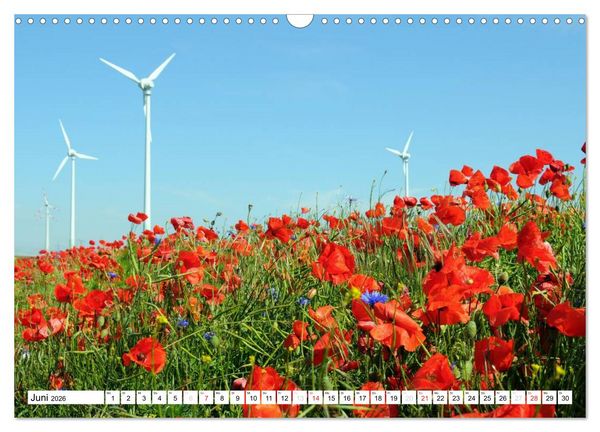 Produktbild: Vier Jahreszeiten im Land Brandenburg (Wandkalender 2026 DIN A3 quer), CALVENDO Monatskalender