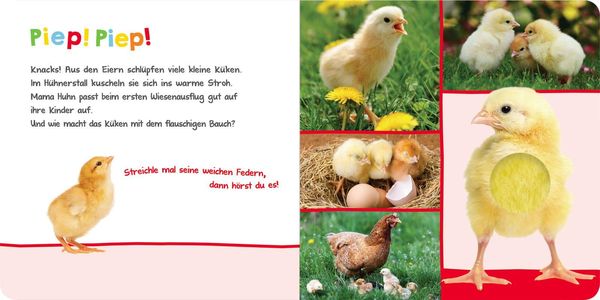 Hör mal rein, wer kann das sein? – Im Frühling