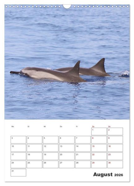Produktbild: Hawaii - Reiseplaner (Wandkalender 2026 DIN A3 hoch), CALVENDO Monatskalender