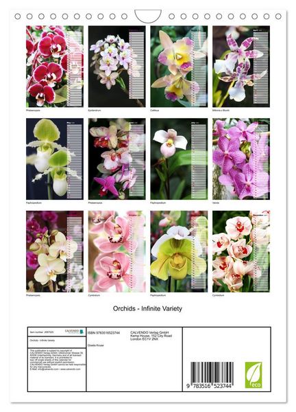 Produktbild: Orchids - Infinite Variety (Wall Calendar 2026 DIN A4 portrait), CALVENDO 12 Month Wall Calendar