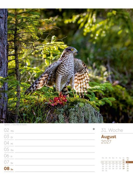 Produktbild: Unser Wald Wochenplaner Kalender 2027