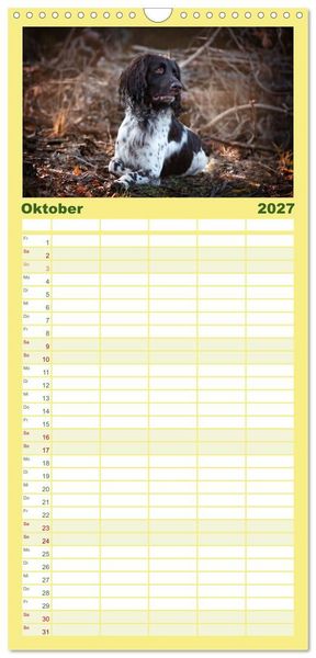 Produktbild: Familienplaner 2027 - Passion Jagdhund - Deutsch Langhaar mit 5 Spalten (Wandkalender, 21 x 45 cm) CALVENDO
