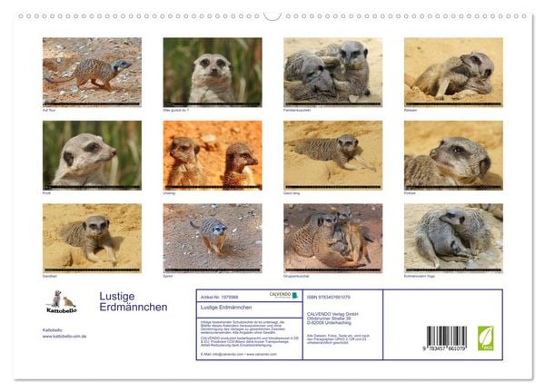Produktbild: Lustige Erdm&auml;nnchen (Wandkalender 2026 DIN A2 quer), CALVENDO Monatskalender
