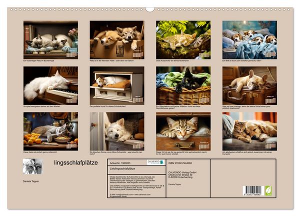 Produktbild: Lieblingsschlafpl&auml;tze (Wandkalender 2026 DIN A2 quer), CALVENDO Monatskalender
