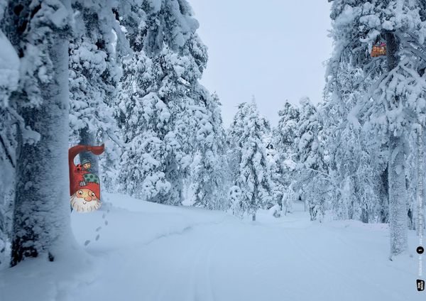 Produktbild: Winter im Wichtelwald. Kamishibai Bildkartenset